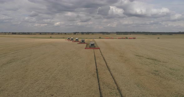 Aerial of machines harvesting wheat alt