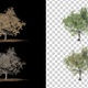 4 Seasons Tree Animation V1 - VideoHive Item for Sale