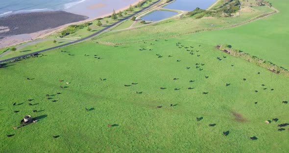 Amazing aerial flight over green field towards huge rock in Tasmania, Australia alt