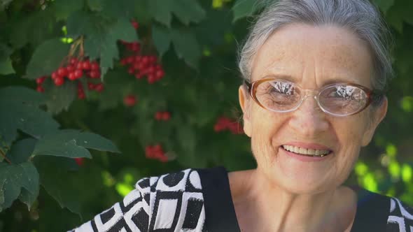 Beautiful Old Grandmother with Grey Hair and Face with Wrinkles is Looking at the Camera with Smile alt