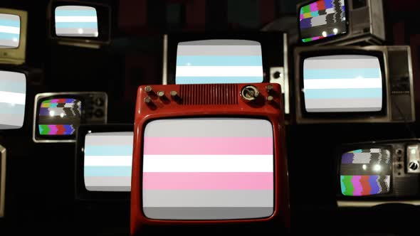 Demiboy Pride Flags and Demigirl Pride Flag on Retro TVs. alt