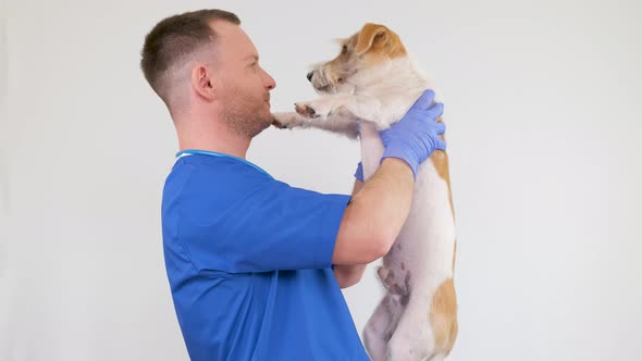 A man in a blue medical coat holds a Jack Russell Terrier in his hands alt