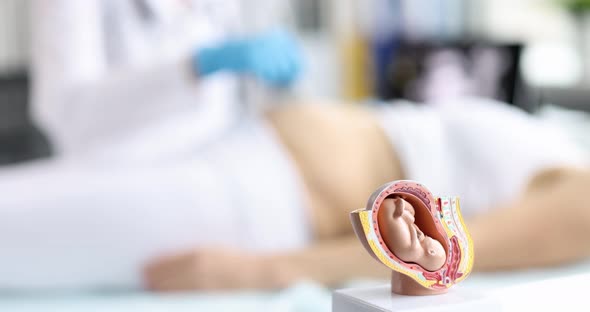 Doctor Conducts Ultrasound Examination of Pregnant Woman in Clinic Closeup alt