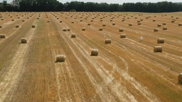 Beautiful young girl in a white shirt on a field among sheaves of hay. Aerial view	 alt