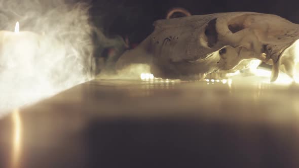 Skull and Smoke