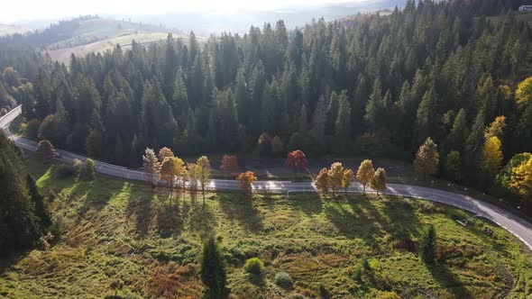 Beautiful Road in the Autumn Carpathian Mountains in Ukraine