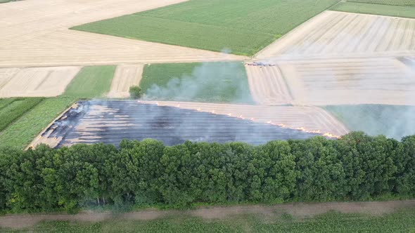 A lot of smoke spreads in the air from burning straw in the field. alt