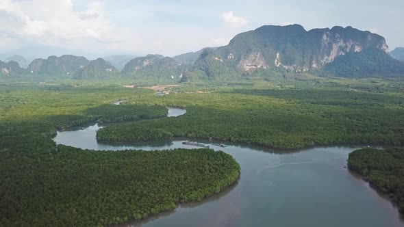 Aerial of River in Mangrove Forest in Thailand