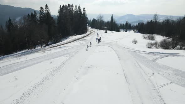 Skiers Cross the Track During a Biathlon Marathon in the Winter in the Highlands alt