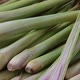 Fresh raw organic whole and sliced lemongrass stems at the market close up - VideoHive Item for Sale