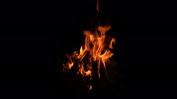 Wood Fire Burn On Black Background 9 alt