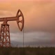 Oil worker standing among the oil pump jacks - VideoHive Item for Sale