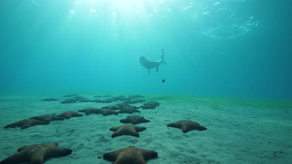 A Young Woman with Snorkeling Mask Swimming Under Blue Ocean with Starfishes. alt