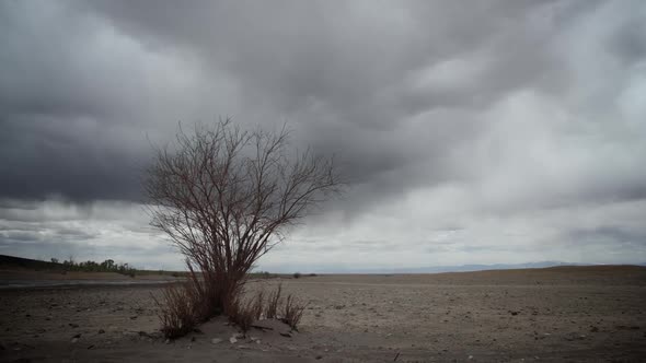Mysterious Landscape with Storm and Tree Zoom In Time Lapse alt
