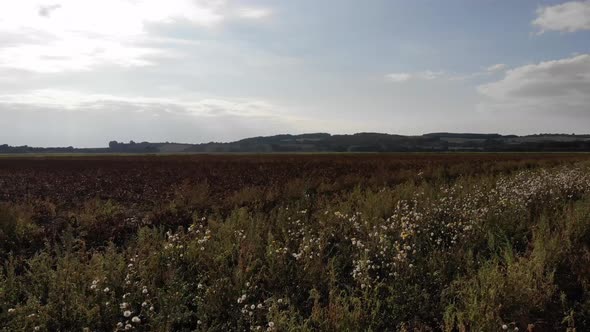 Aerial view of golden fields with brown mold close to Sejerøbugten in Odsherred. alt