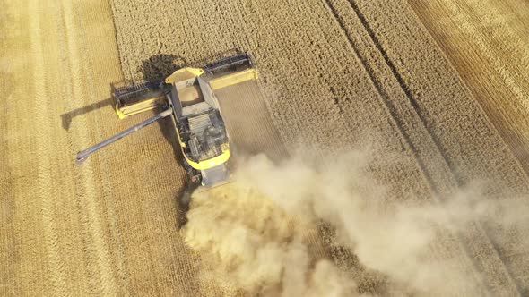Harvester Harvests Wheat Crop On Field alt