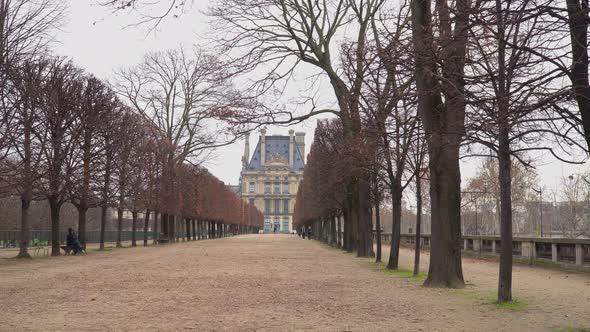 Alley In Tuileries Garden 2 alt