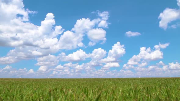 Time lapse video of clouds over green field