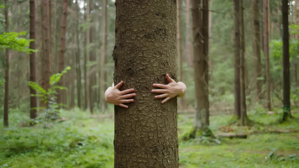 Man with his hands hugs a tree trunk, unity with nature alt