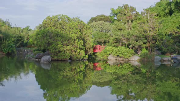 Birds beneath small red bridge at Japanese garden, Dominican Republic. Dolly-in alt