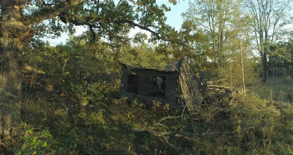 Urbanization Abandoned Collapsed Wooden House Under Oak Tree Aerial View