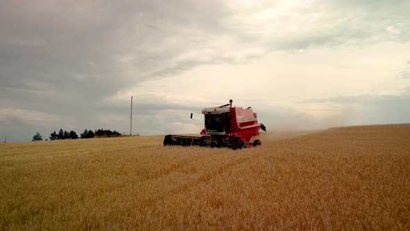 Wheat Harvest 4