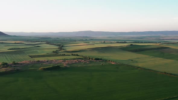 Fields At Sunset