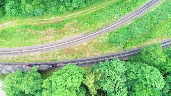 Steam Engine Locomotive in the Forest Rail Road alt