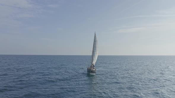 Sailboat morning sea