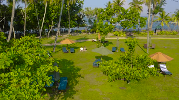 Couple Man and Woman Seat on the Grass Against the Palm Trees in the Tropics Resort