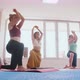 Three Women Standing on Yoga Mats on Their Knees and Doing the Exercises - VideoHive Item for Sale