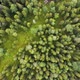 Flight Over the Forest, Log Hut, Aerial Top Down View on Forest in the Summer, Drone Shot Flying - VideoHive Item for Sale