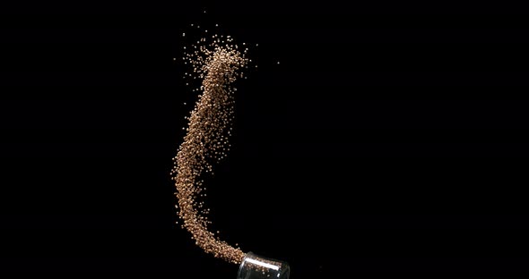 Coriander, coriandrum sativum, seeds falling against Black Background, Slow Motion 4K alt