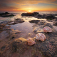 Beautiful seashells on the beach at the sunset. - PhotoDune Item for Sale