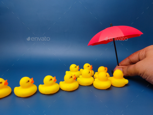 Hand holding red umbrellas with yellow ducks on a blue background. The concept of insurance coverage - Stock Photo - Images