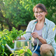 Middle-aged woman with watering can near garden bed with spicy fragrant herbs - PhotoDune Item for Sale