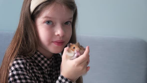 a Little Girl Holds a Hamster in Her Arms the Hamster is Washed alt