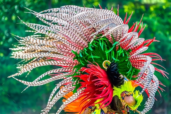 Closeup shot of the colorful feathers of a traditional Native Indian-American festive costume
