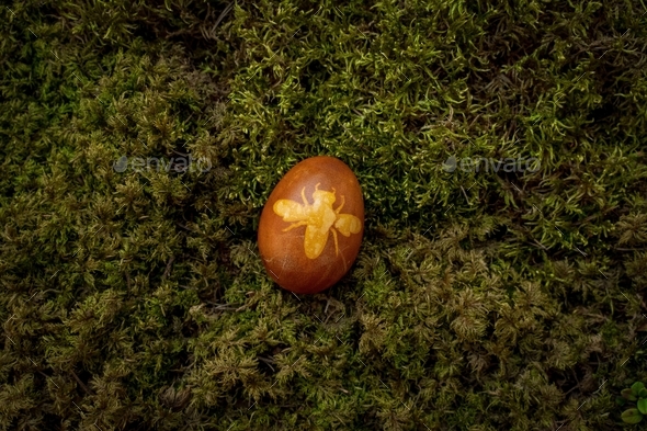 Closeup of an easter egg on the grass with a bee shape sticker on it