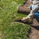 Close-up man laying grass turf rolls for new garden lawn - PhotoDune Item for Sale