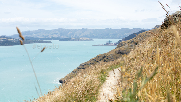 A beautiful landscape of the sea and hiking trails. A nature park in New Zealand - Stock Photo - Images