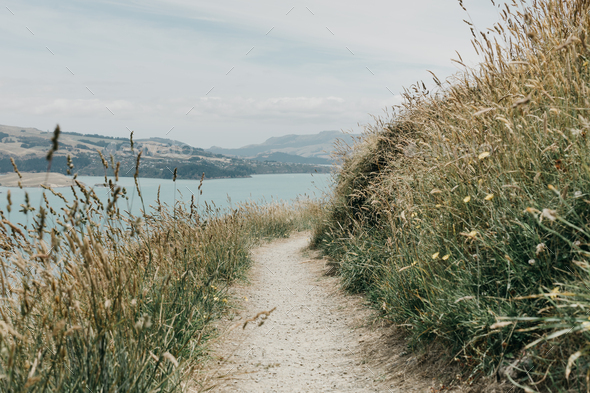 A path with a sea view. A road for hiking with a stunning landscape. Landscape. - Stock Photo - Images