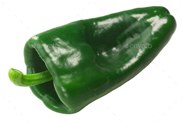 Ancho / Poblano chile pepper isolated, immature, fresh pod. Capsicum annuum fruit - Stock Photo - Images