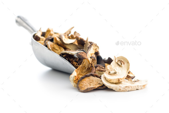 Various sliced dried mushrooms in scoop isolated on white background. - Stock Photo - Images