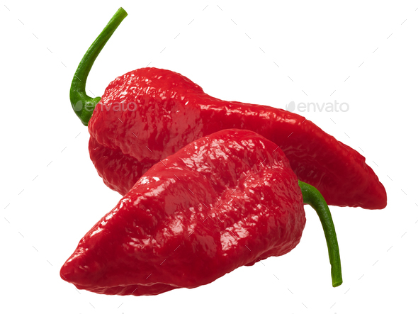 Fatalii peppers isolated. Extra hot Capsicum chinense fruits - Stock Photo - Images