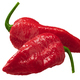 Fatalii peppers isolated. Extra hot Capsicum chinense fruits - PhotoDune Item for Sale