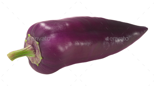 Purple chile pepper isolated, whole fresh pod. Capsicum annuum fruit - Stock Photo - Images