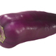 Purple chile pepper isolated, whole fresh pod. Capsicum annuum fruit - PhotoDune Item for Sale