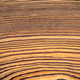 Brown wooden annual rings background or texture. - PhotoDune Item for Sale