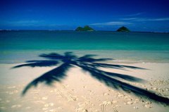 Life is so beautiful